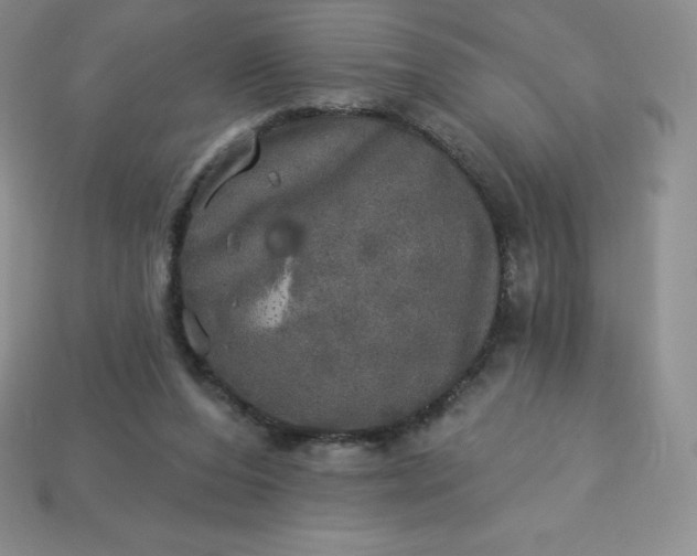 X0000113920208200910090943