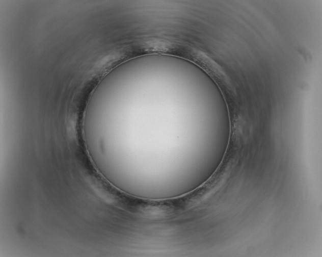 X0000113920209200910090943