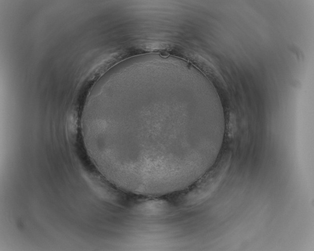 X0000113920210200910090943