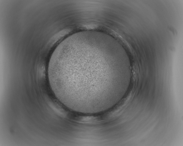 X0000113920212200910090943