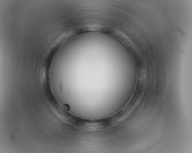 X0000113920213200910090943