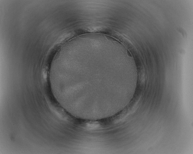 X0000113920214200910090943