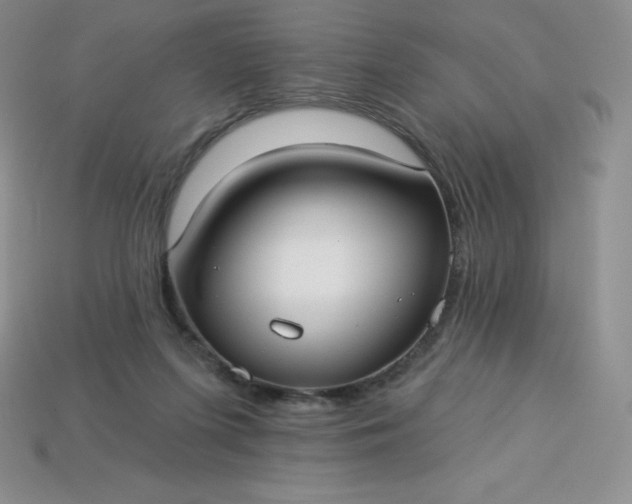 X0000113920215200910090943