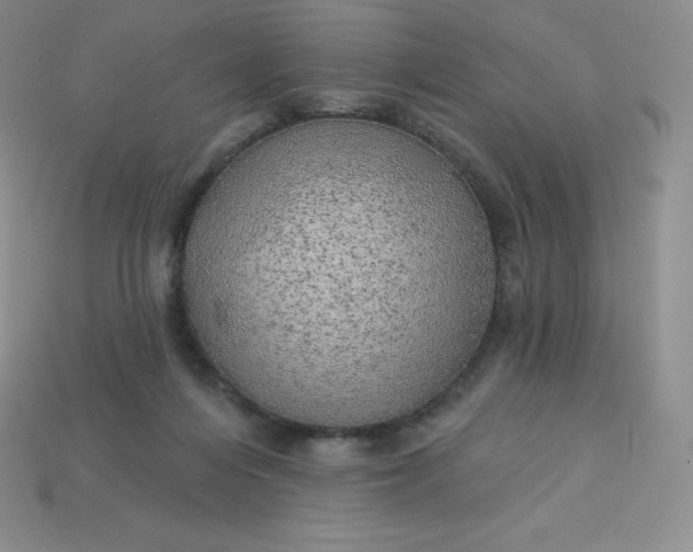 X0000113920216200910090943