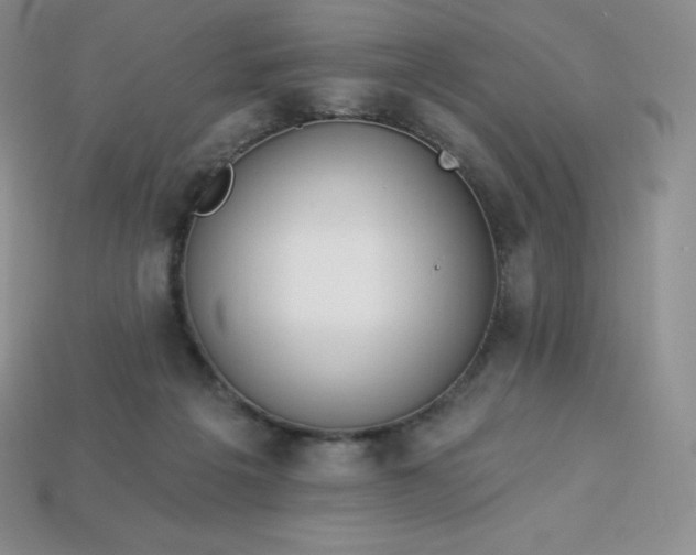 X0000113920217200910090943