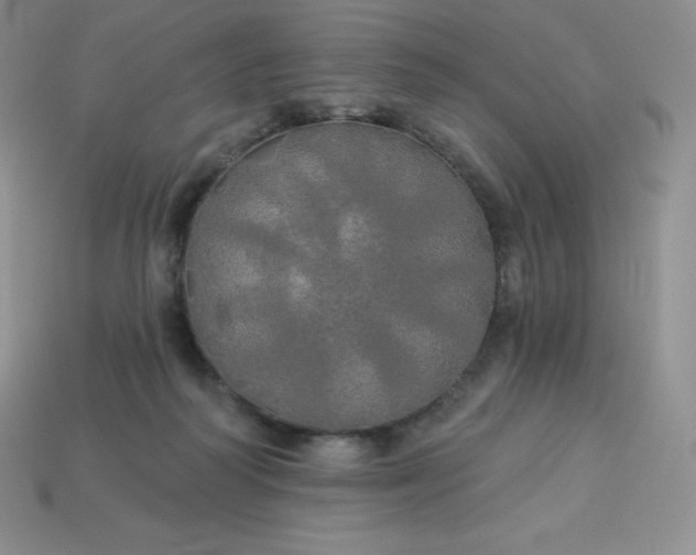 X0000113920218200910090943