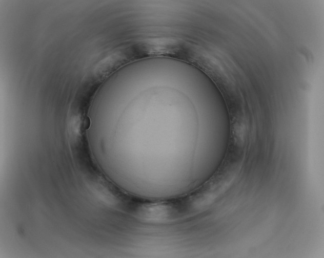 X0000113920219200910090943