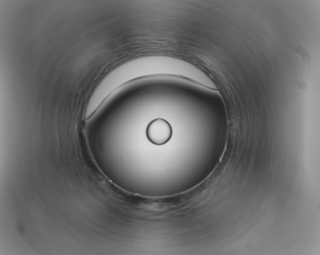 X0000113920221200910090943