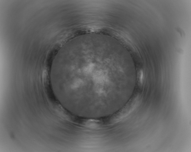 X0000113920222200910090943
