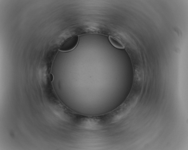 X0000113920223200910090943