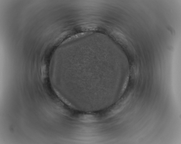 X0000113920224200910090943
