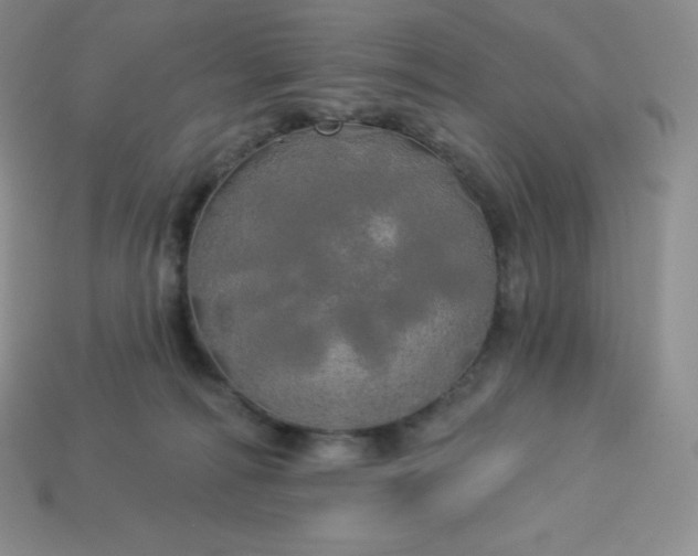 X0000113920226200910090943