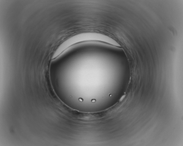 X0000113920229200910090943