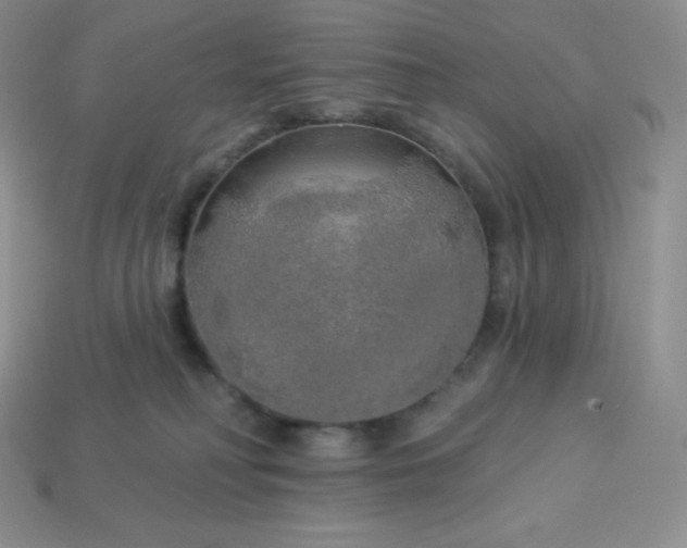 X0000113920230200910090943