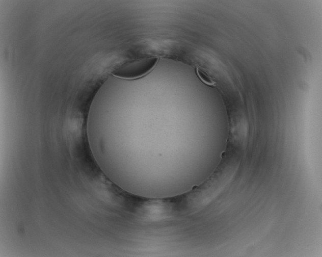 X0000113920231200910090943