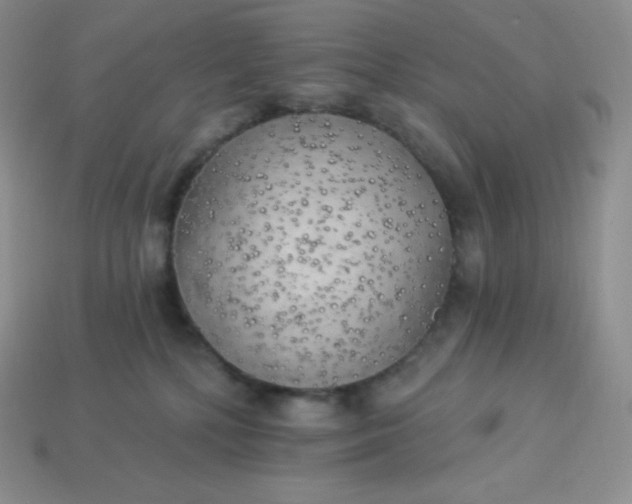 X0000113920232200910090943