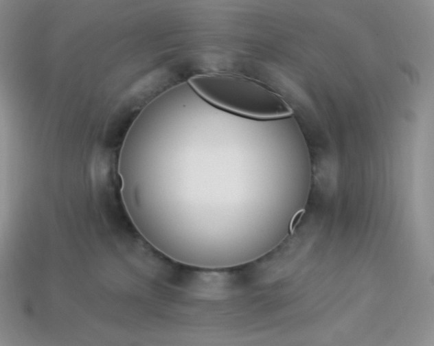 X0000113920233200910090943
