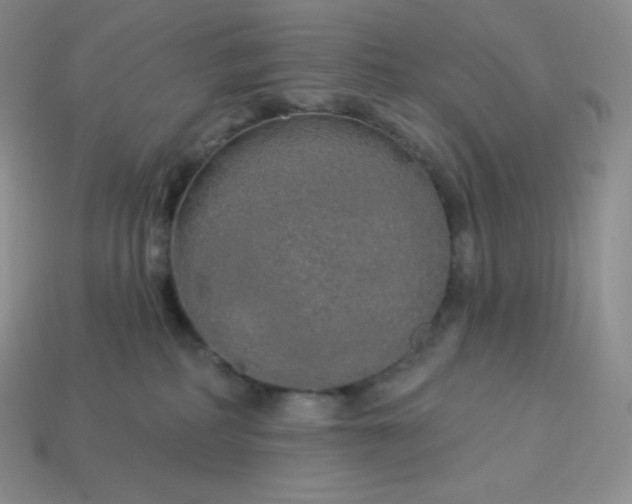 X0000113920234200910090943