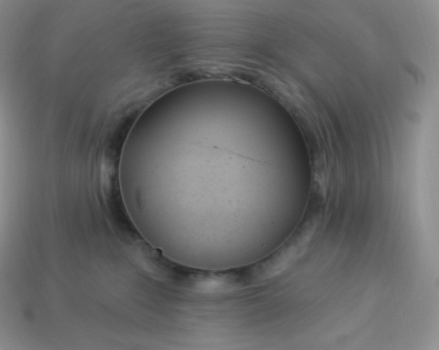 X0000113920235200910090943