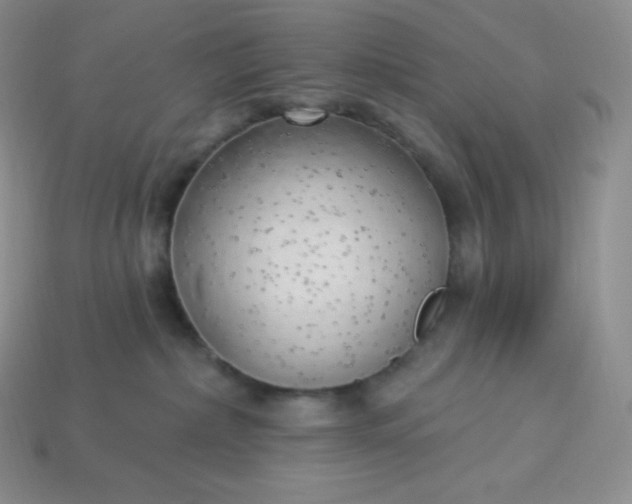 X0000113920236200910090943