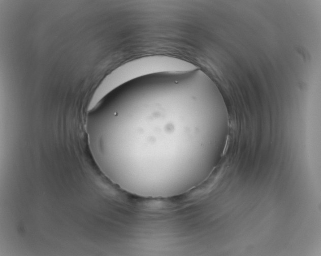 X0000113920237200910090943