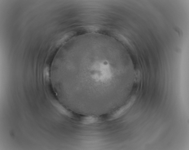 X0000113920238200910090943