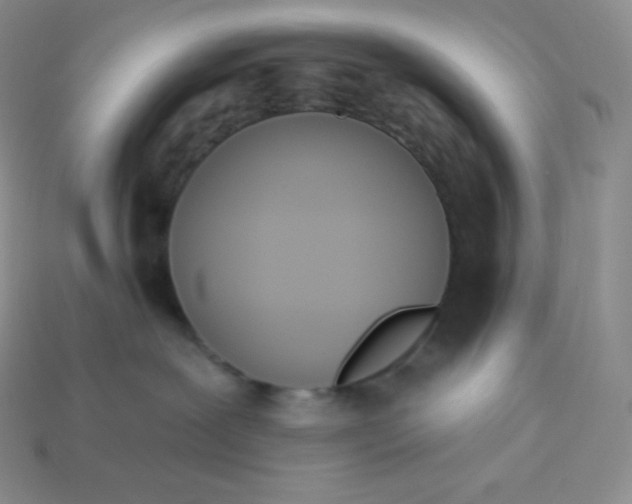 X0000113920239200910090943