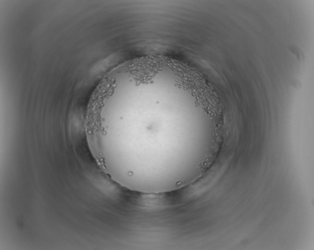 X0000113920240200910090943