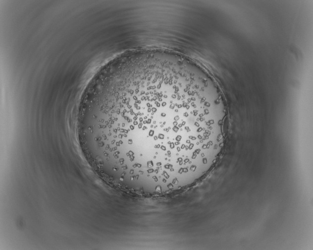 X0000113920241200910090942