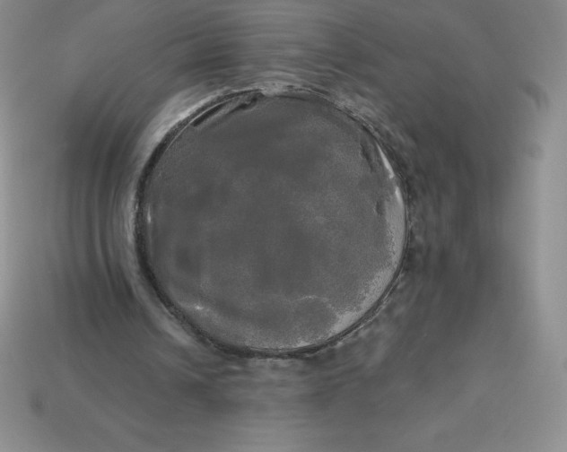X0000113920242200910090942