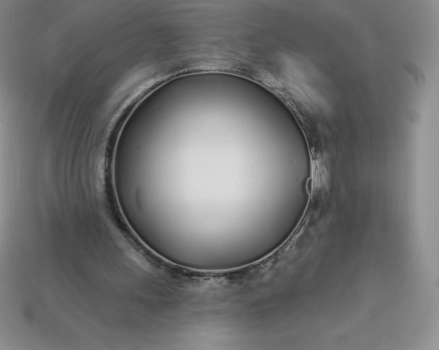 X0000113920243200910090942
