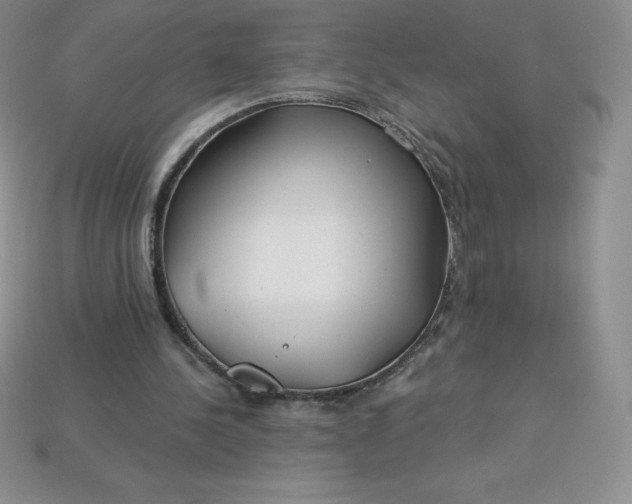 X0000113920244200910090942
