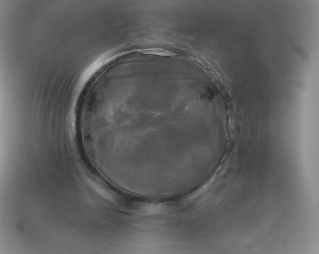 X0000113920246200910090942