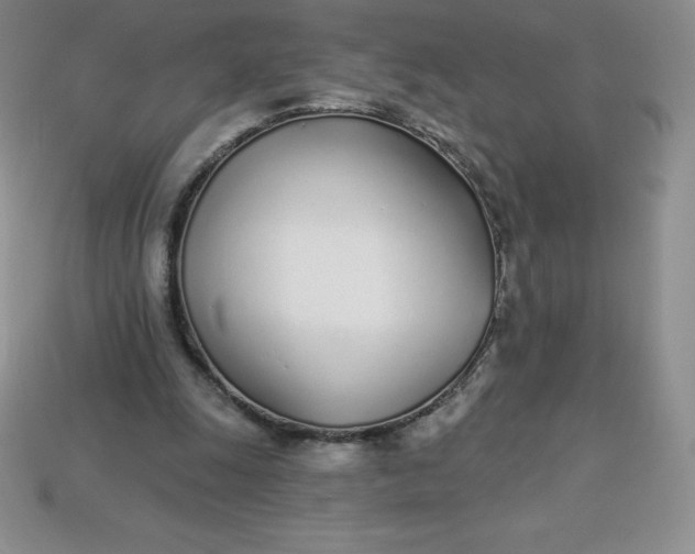 X0000113920247200910090942