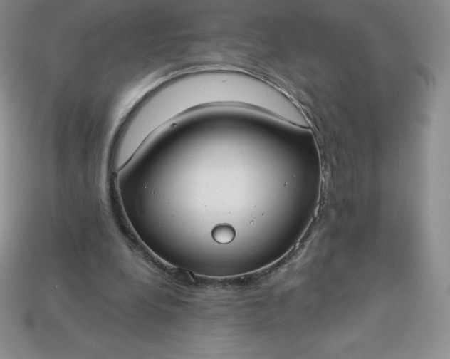 X0000113920248200910090942