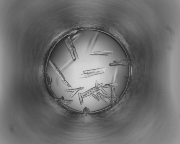 X0000113920249200910090942