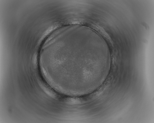 X0000113920250200910090942