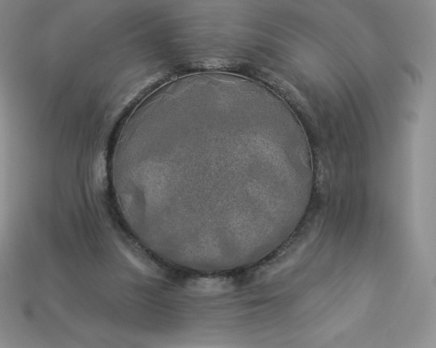 X0000113920251200910090942