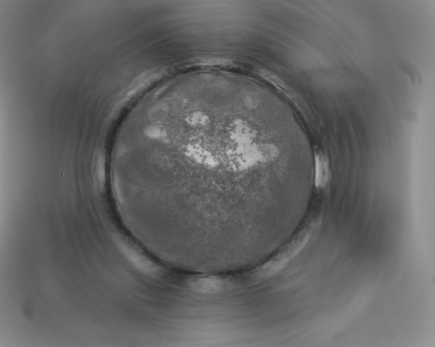 X0000113920253200910090942