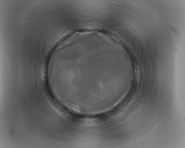 X0000113920255200910090942