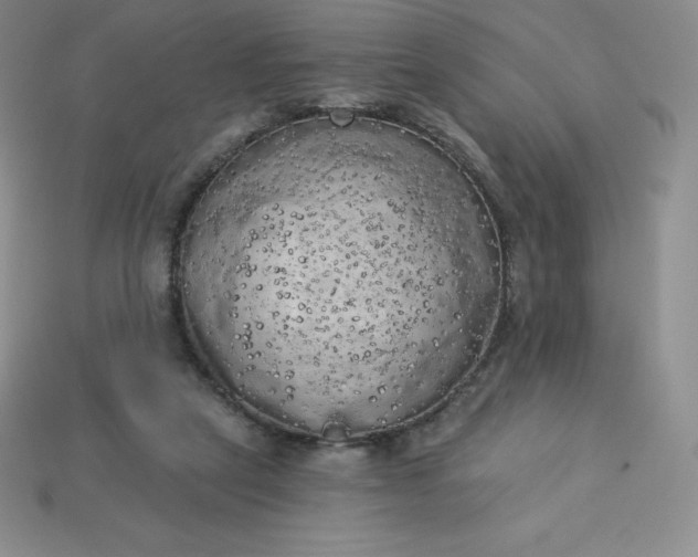 X0000113920257200910090942