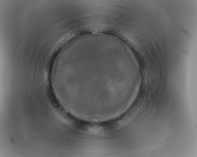 X0000113920258200910090942