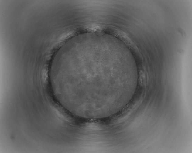 X0000113920259200910090942