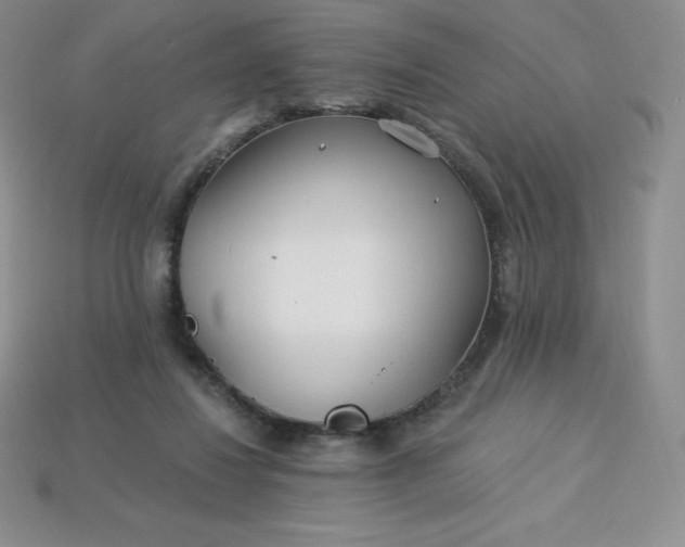X0000113920260200910090942