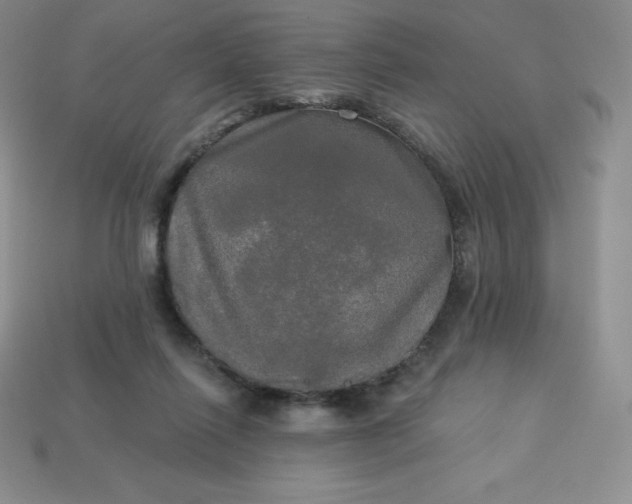 X0000113920262200910090942
