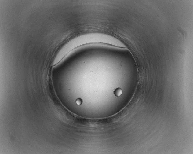 X0000113920264200910090942