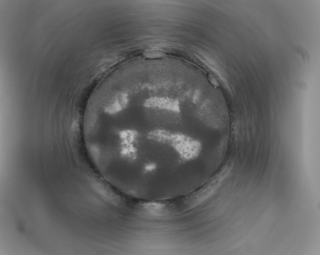 X0000113920265200910090942