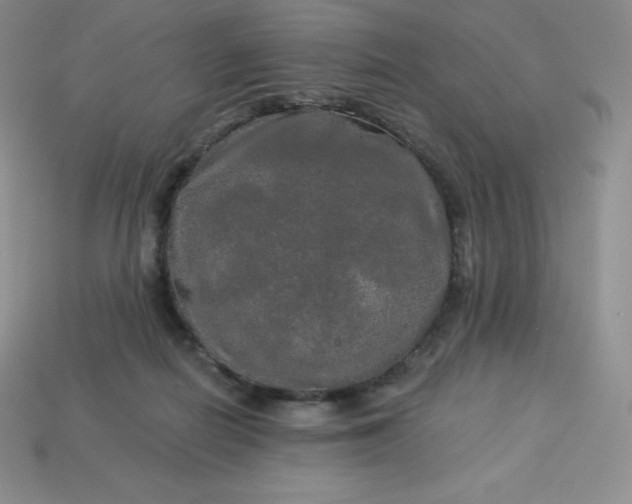 X0000113920266200910090942