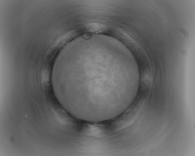 X0000113920268200910090942
