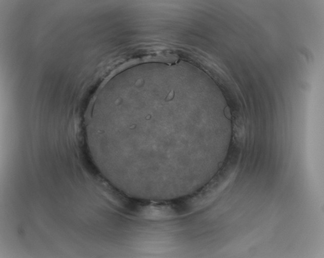 X0000113920270200910090942